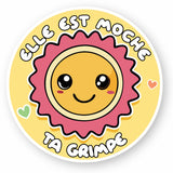 AUtocollant T'as vraiment pas une belle grimpe