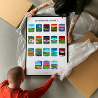 LES STADES DE LA LIGUE 1