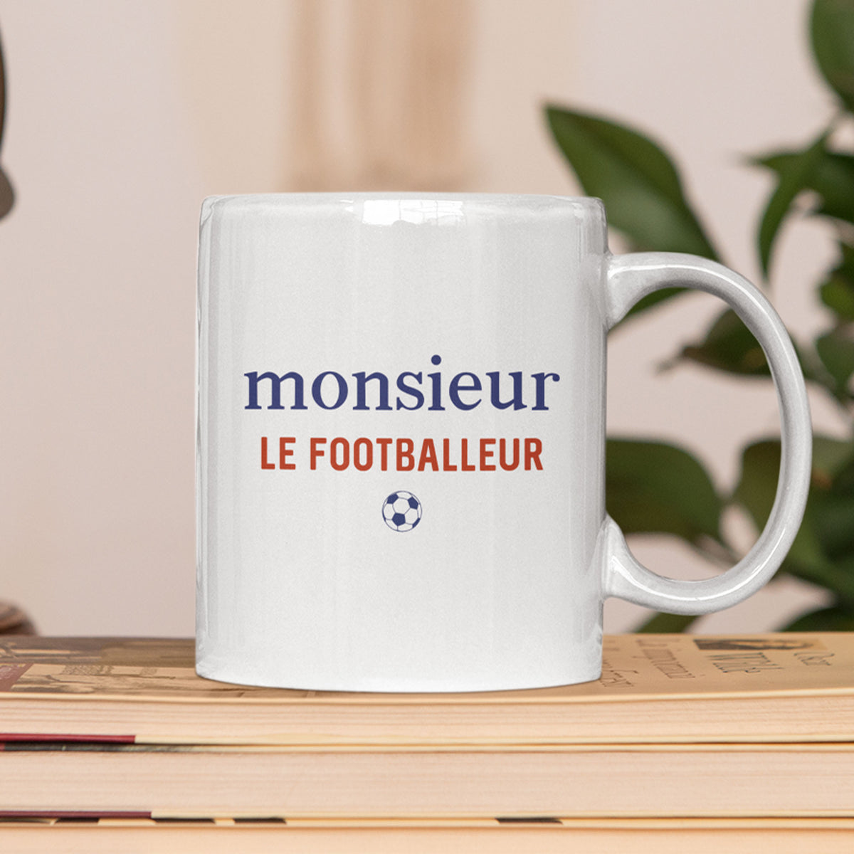 Monsieur le footballeur