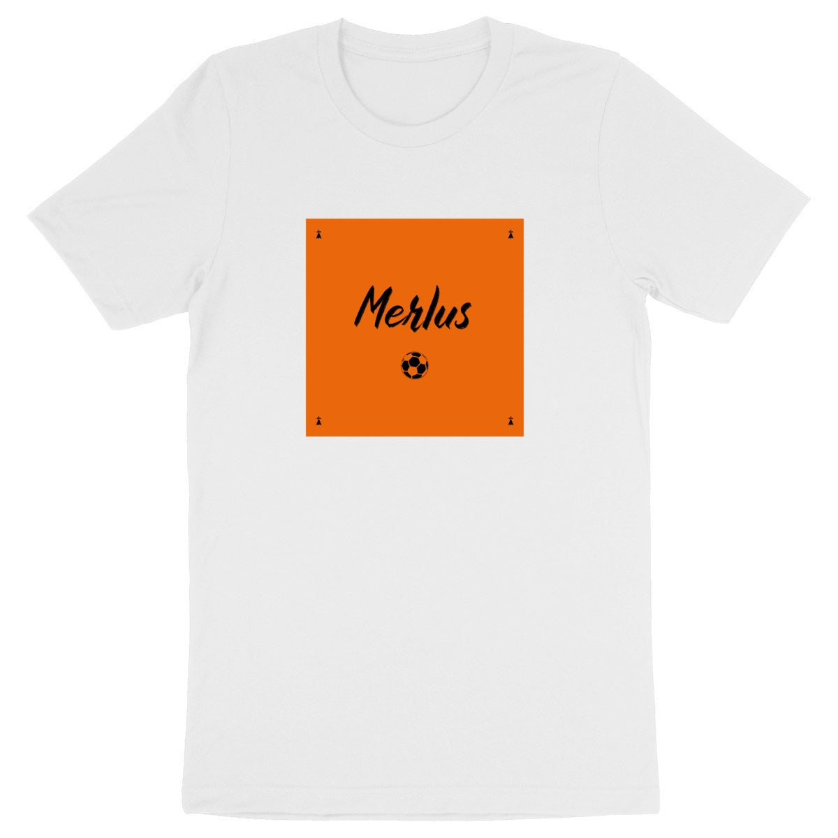 Lorient - Merlus