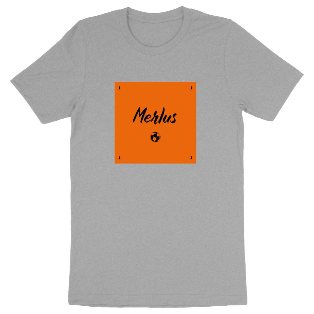 Lorient - Merlus
