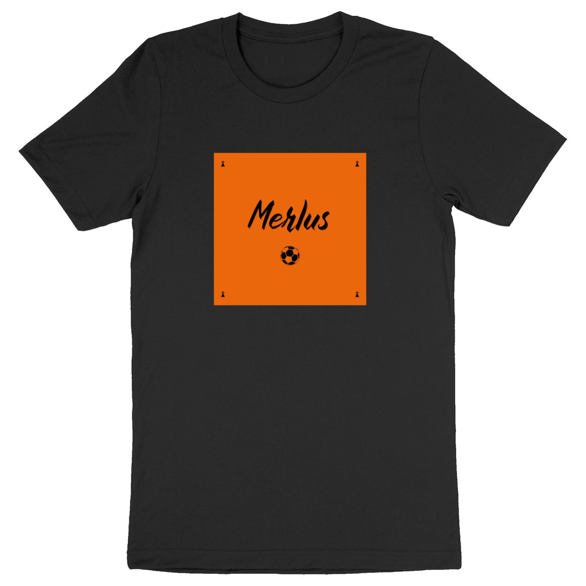 Lorient - Merlus
